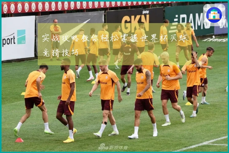 实战攻略教你轻松掌握世界杯买球竞猜技巧