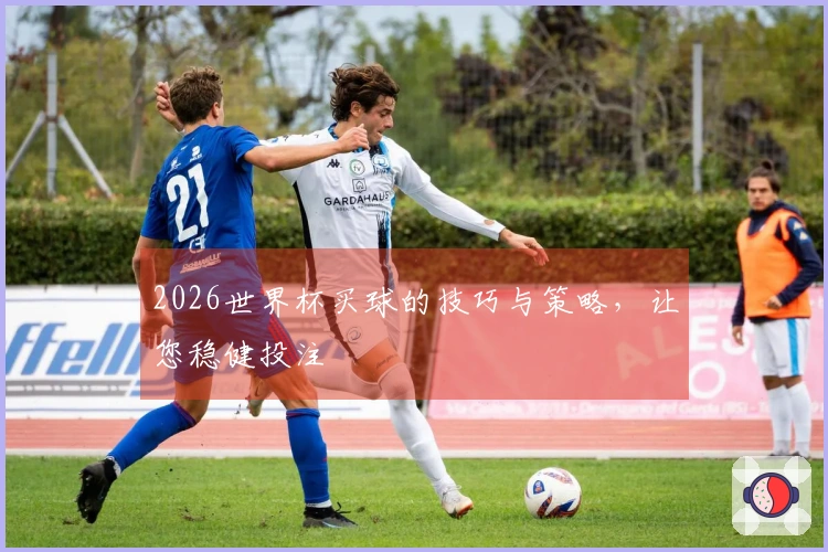 2026世界杯买球的技巧与策略，让您稳健投注
