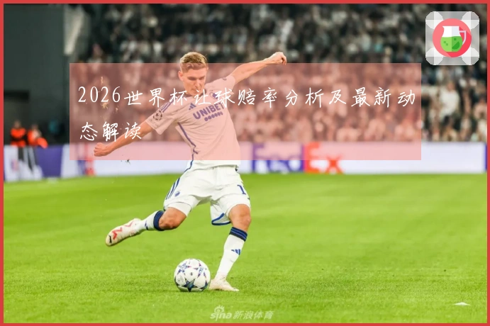 2026世界杯让球赔率分析及最新动态解读