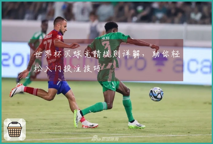 世界杯买球竞猜规则详解，助你轻松入门投注技巧