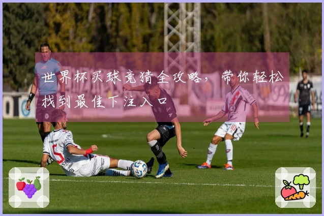 世界杯买球竞猜全攻略，带你轻松找到最佳下注入口