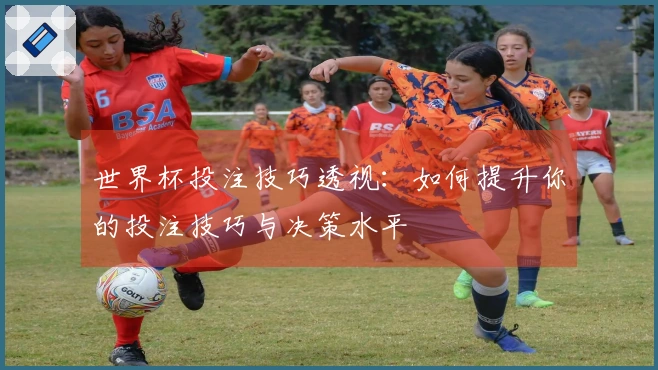 世界杯投注技巧透视：如何提升你的投注技巧与决策水平