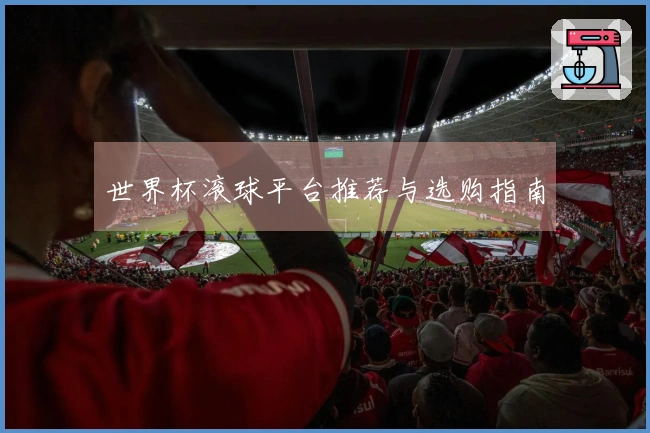 世界杯滚球平台推荐与选购指南