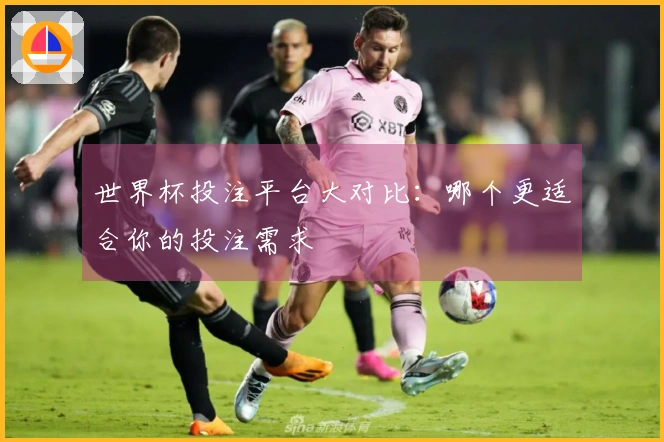 世界杯投注平台大对比：哪个更适合你的投注需求