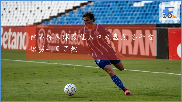 世界杯买球最佳入口大盘点 各平台优劣一目了然