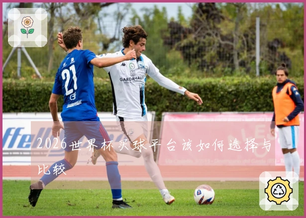 2026世界杯买球平台该如何选择与比较